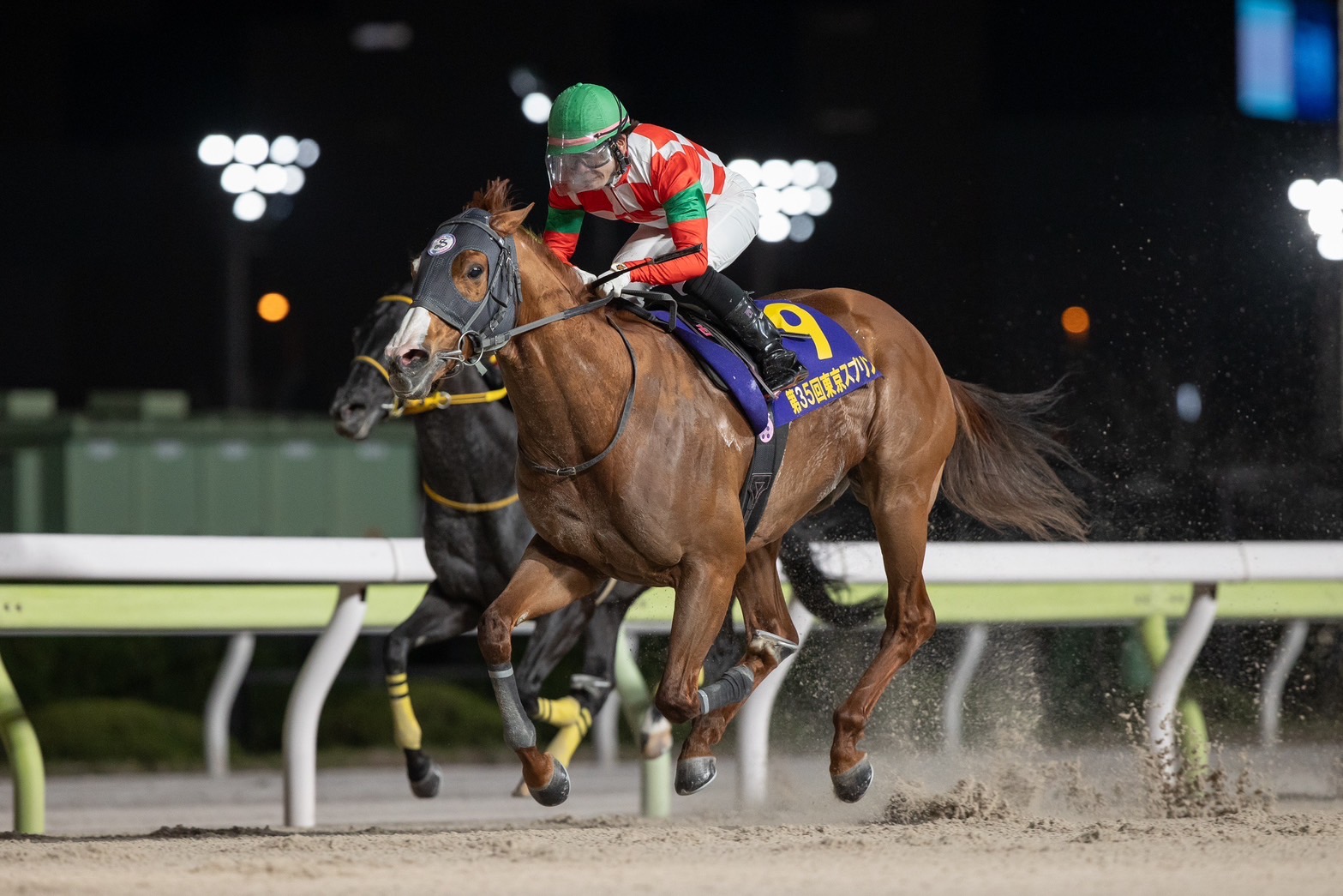 待ちに待った2年2カ月ぶりの美酒 <br>ジャスティンが東京スプリントで重賞4勝目