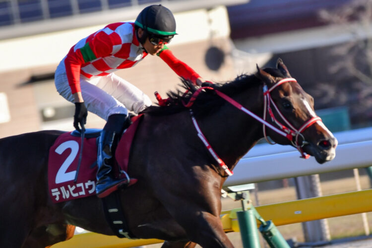 2025年11月24日の東京競馬場11R・第30回東京スポーツ杯2歳ステークス(GII、芝1800m)において、LiNK-UP BREEDINGが所有するテルヒコウ号(牡2歳、父コントレイル、母ミッシングリンク)が4着