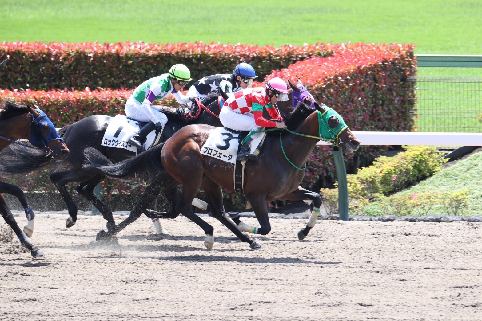 プロフェータが東京・3歳未勝利戦を制す