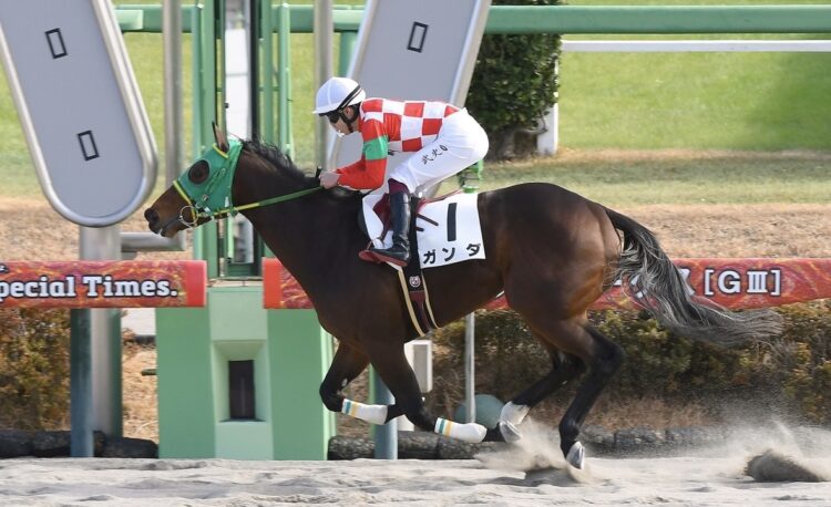 12月13日の中山競馬場4R・2歳未勝利(ダート1800m)において、LiNK-UP BREEDINGが所有するガンダ号(牡2歳、父ホッコータルマエ、母フィーユレヴーズ、母父オルフェーヴル)が優勝