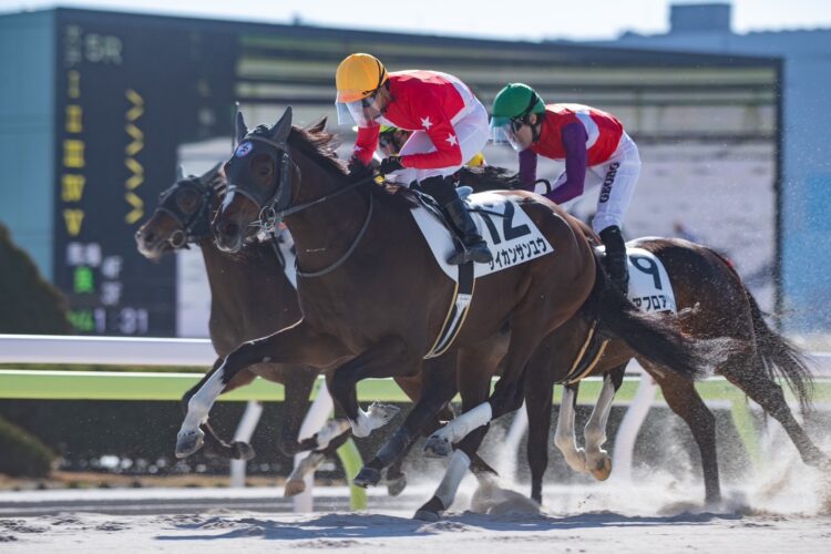 1月13日の大井5R・3歳六七（ダート1400m）において、小田吉男所有のサイカンサンユウ号（牡3歳、父ルヴァンスレーヴ、母シナスタジア）が勝利