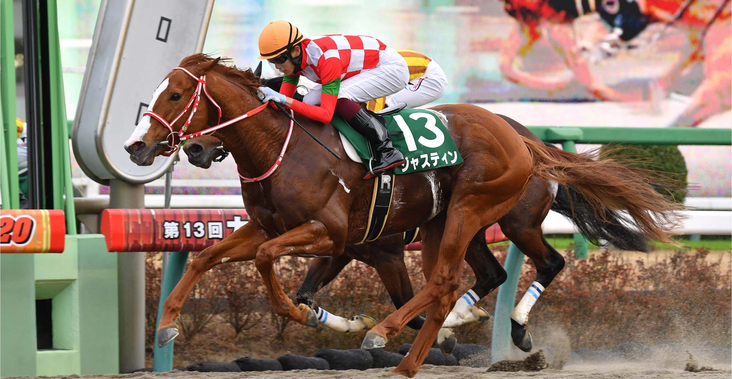 ダート短距離重賞4勝のスペシャリスト <br>名伯楽絶賛の〝スピード＆闘争心〟を継承へ