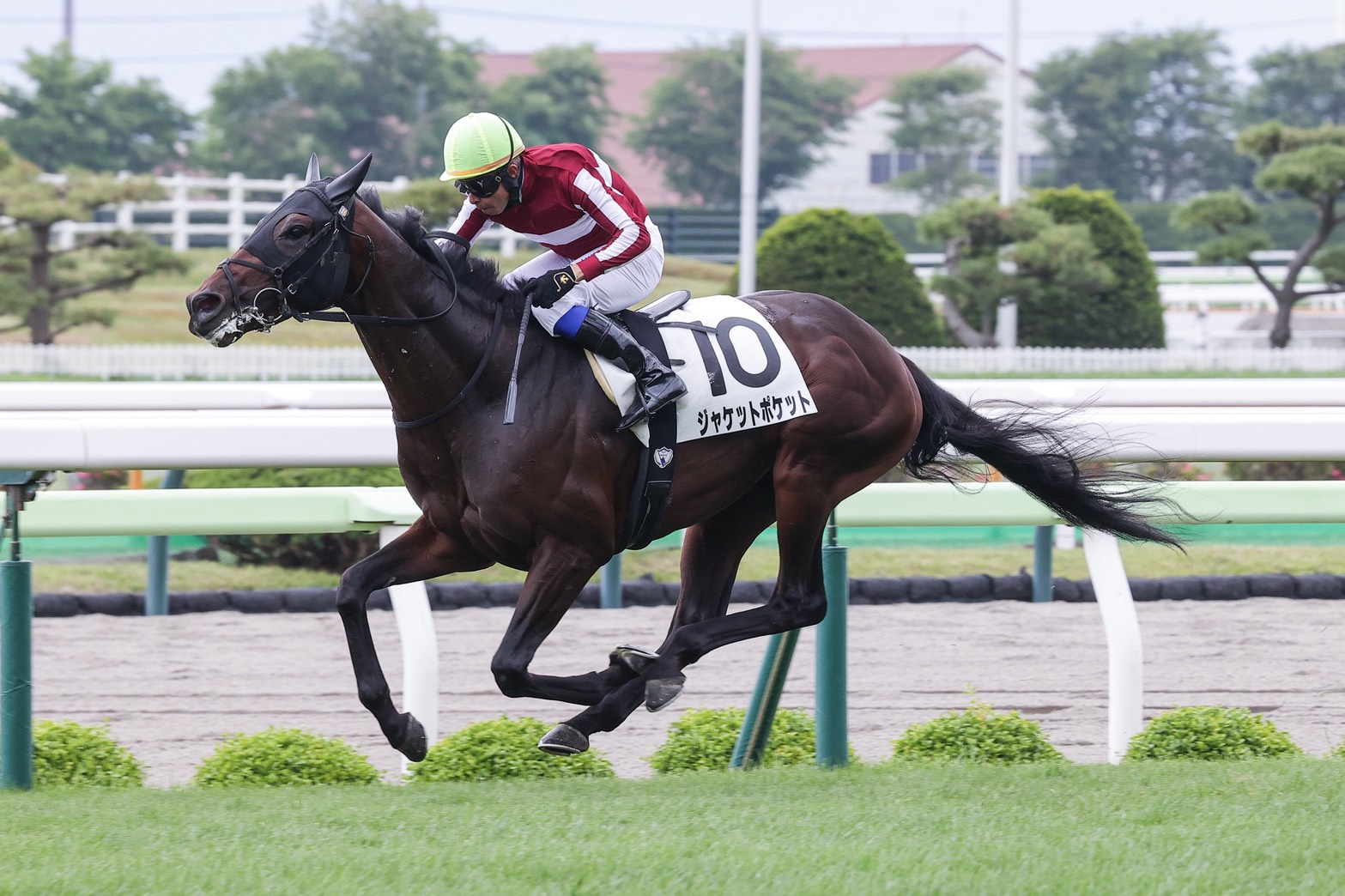 早め進出から力強く押し切り <br>ジャケットポケットが函館で待望の初勝利！