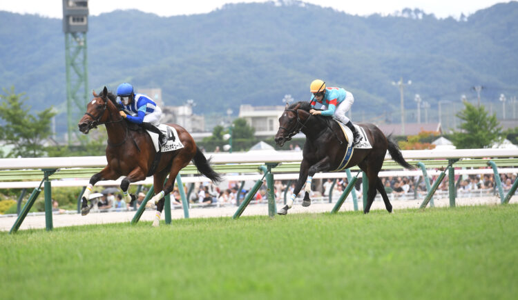 2026年7月19日の福島5R・2歳新馬（芝2000m）で「サピアウォーフの2024」であるエンルートフライト号（牡2歳、父コントレイル、母サピアウォーフ）がデビューしました。